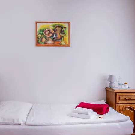 Hotel Praga